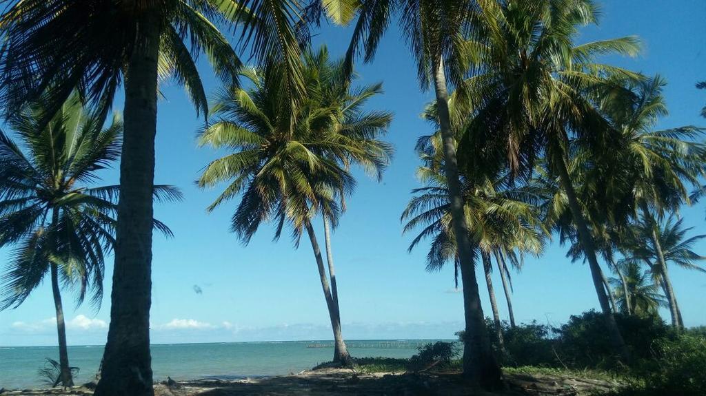 São Miguel dos Milagres Pousada Vale Encantado מראה חיצוני תמונה