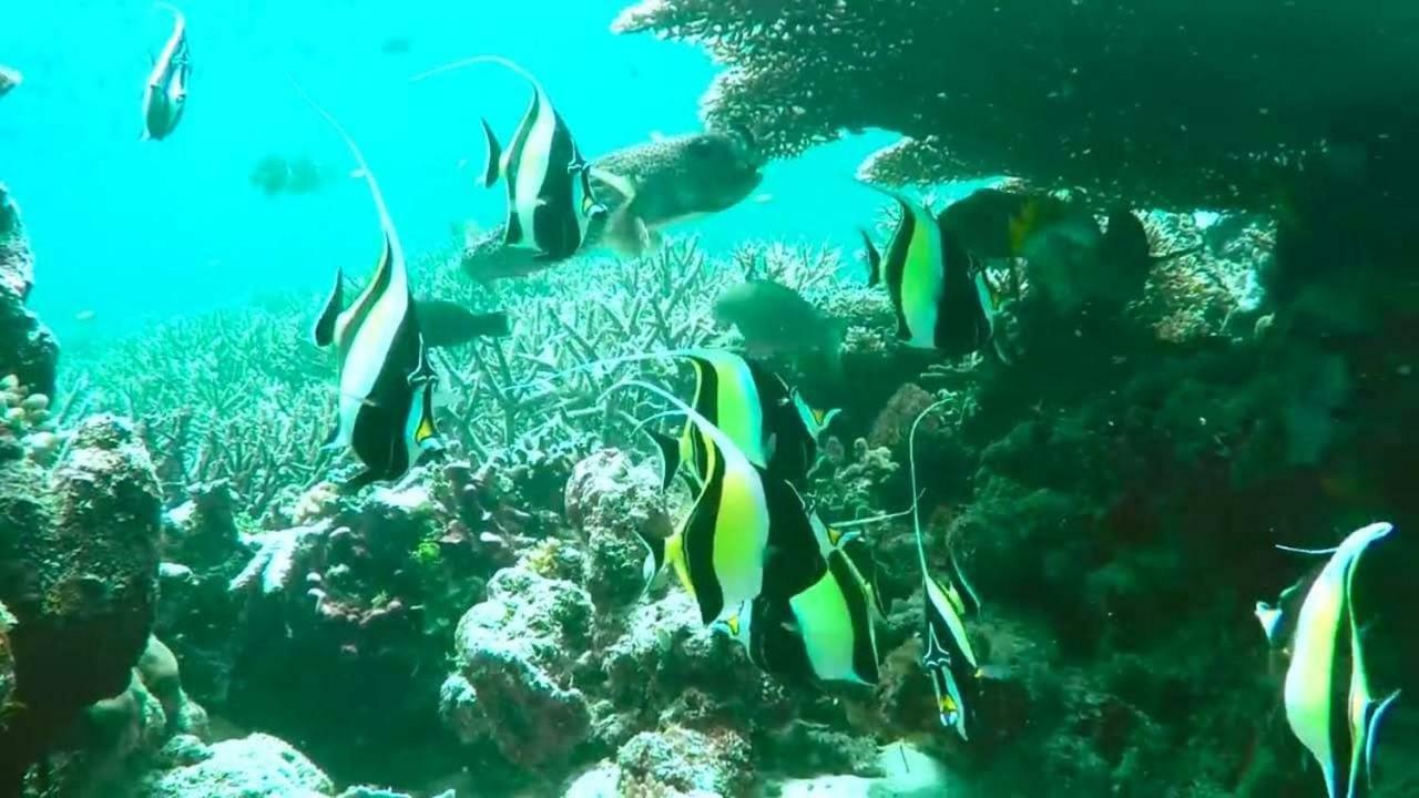 São Miguel dos Milagres Pousada Vale Encantado מראה חיצוני תמונה